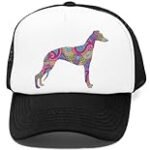 Guía definitiva para comprar un Whippet: Analizamos y comparamos los mejores productos para practicar tu deporte favorito