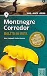 Los mejores productos para un corredor de Montnegre: análisis y comparativa