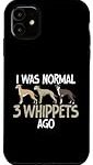 Comparativa de los mejores whippets para carreras: ¡Encuentra el ideal para tu deporte favorito!