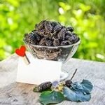 La Morera Port Platja: Descubre los Mejores Productos para Practicar Deportes en la Playa